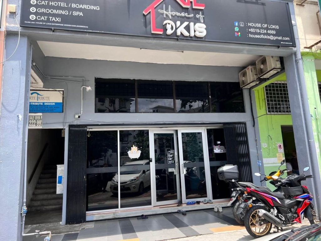 HOW TO GET FANTASTIC DEAL TINTED GLASS DENAI ALAM