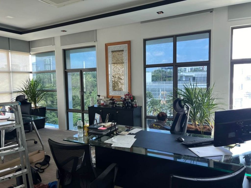 HOW TO GET FANTASTIC DEAL TINTED GLASS ELMINA