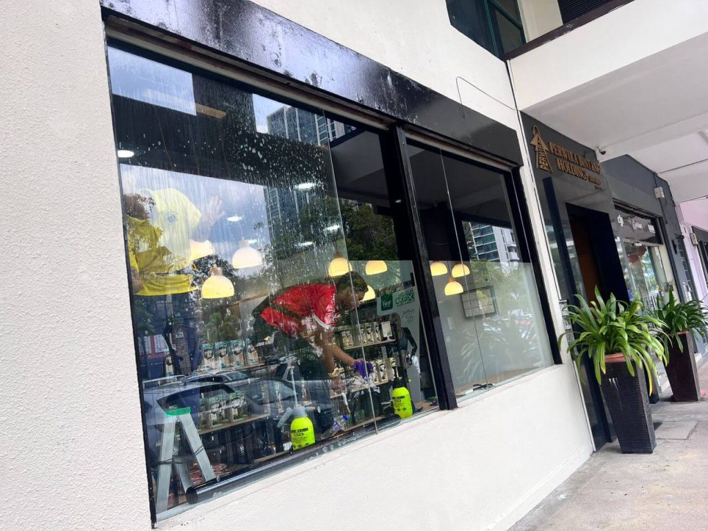 HOW TO GET FANTASTIC DEAL TINTED GLASS GLENMARIE